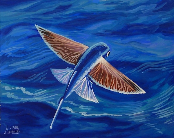 Картина Летучая рыба