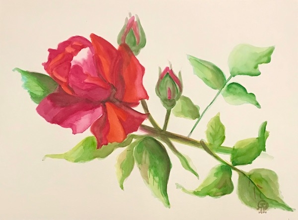 Картина акварелью Красная роза