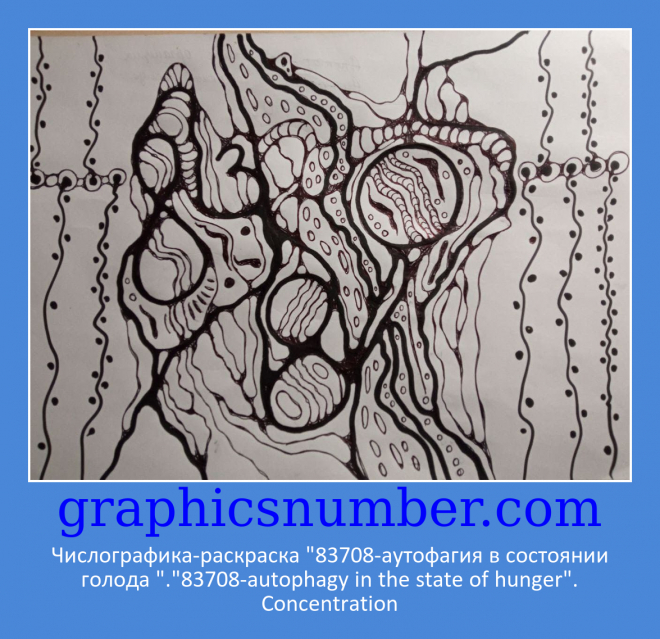 Картина Числографика-раскраска "83708-аутофагия в состоянии голода "."83708-autophagy in the state of...