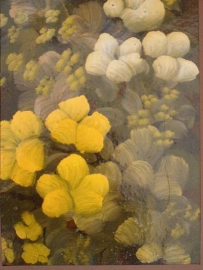 Картина из серии "цветы"