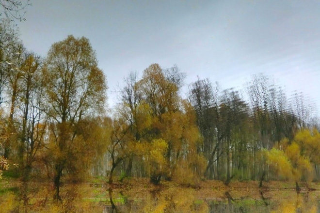 Картина акварелью Осенний этюд