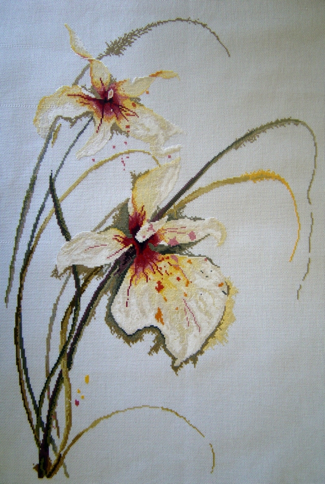 Картина Белая орхидея