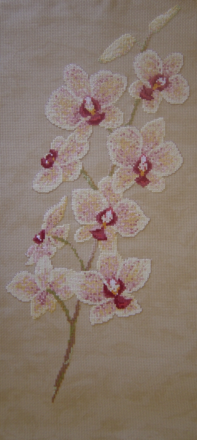 Картина Ветка орхидей