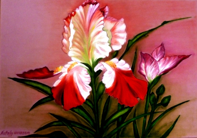 Картина маслом Серия Цветочный калейдоскоп - Ирисы на розовой замше